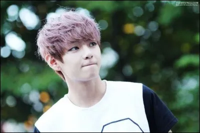 Qui est son influence dans le groupe BigBang ?