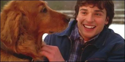 Dans "Smallville", le chien des Clark s'appelle :