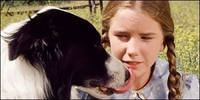 Lequel de ces chiens n'a jamais appartenu à Laura Ingalls dans "La Petite Maison dans la Prairie" ?