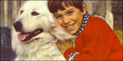 Dans "Belle et Sébastien", Belle est :