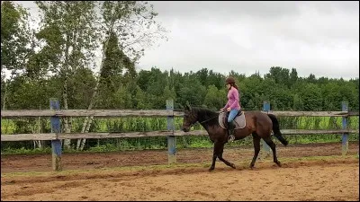 As-tu le sens de l'&eacute;quilibre ?