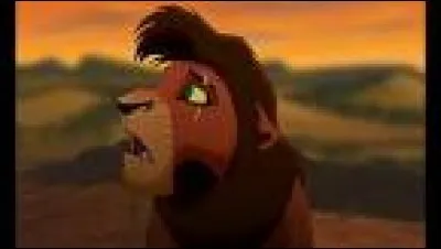 Qui est ce personnage ?