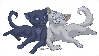 As-tu des frères et surs ?