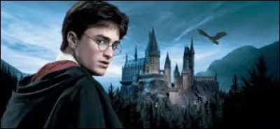 Qui est l'auteur de la série littéraire "Harry Potter" ?