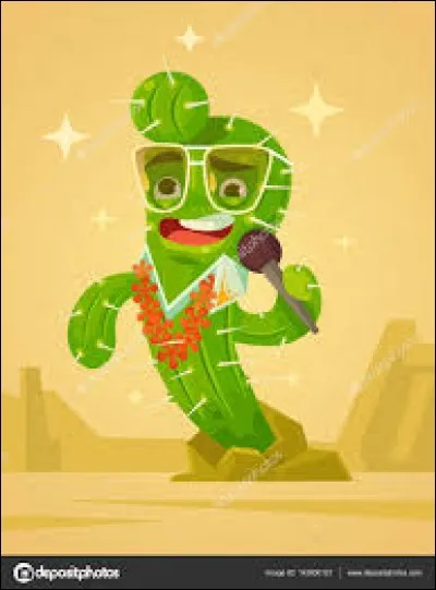 Un peu de musique pour finir : 
Quel chanteur chante "Les Cactus" ?