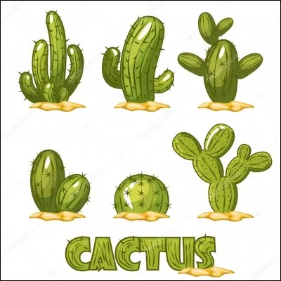 Comment dit-on "cactus" en espagnol ?