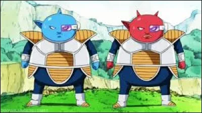 Dans « Dragon Ball Z », qui sont Abo et Cado ?