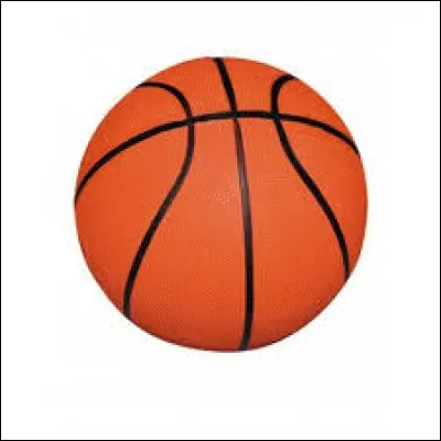 Quel sport pratique-t-on avec ce ballon ?