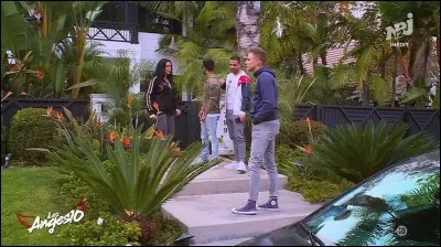 Pourquoi Tristan, Shanna et Adrien sont-ils partis ?