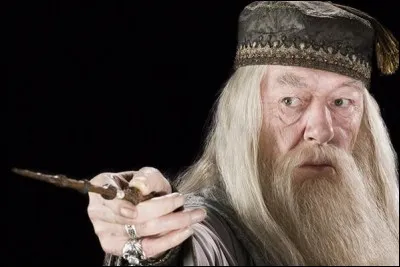 De quel bois provient la baguette de Dumbledore ?