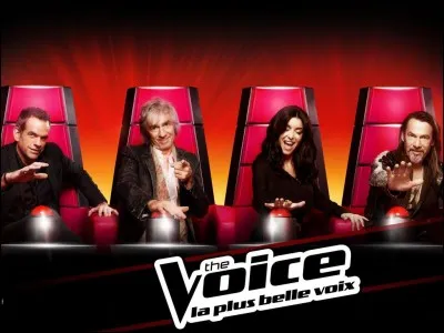Un interprète de l'une des chansons des génériques Pokémon a été l'un des talents de la seconde saison de « The Voice » :