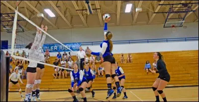 Quelle région de France a donné son nom à un terme de volley-ball ?