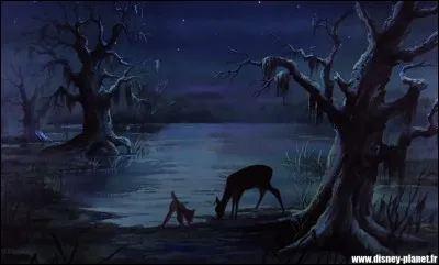 Dans quel Disney peut-on apercevoir Bambi et sa maman ?