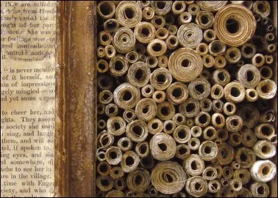 Les papyrus les plus abîmés étaient conservés ...