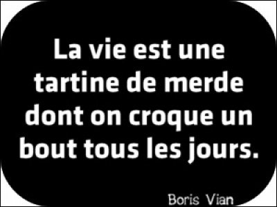 Comment décririez-vous votre vie ?