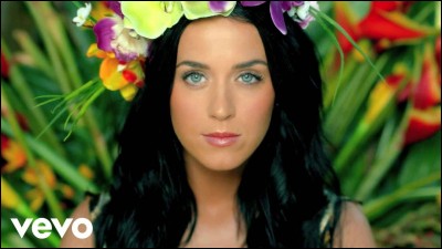 Quel est le nom de naissance de Katy Perry ?