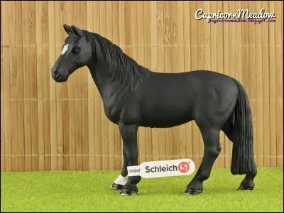 De quelle race est ce Schleich ?