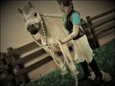 Enfin, sur la cha&icirc;ne YouTube de M&M's Schleich, comment s'appelle sa monitrice ?