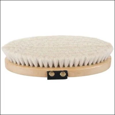 Quelle est cette brosse ?