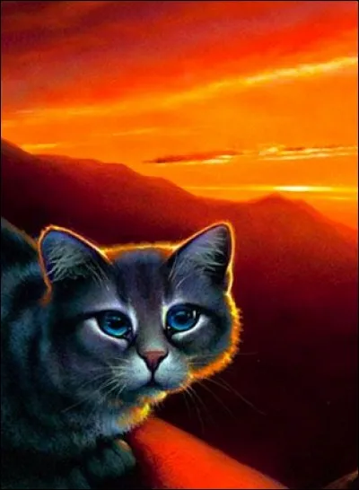 Et ce mâle, qui est-ce ?