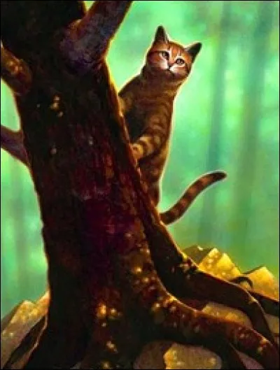 Qui est cette femelle, qui apparaît dans "La Quête d'Etoile de Feu" ?