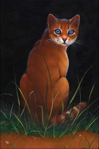 Qui est cette chatte brune ?