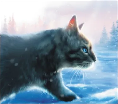 Qui est ce vieux chef du clan de la Rivière ?