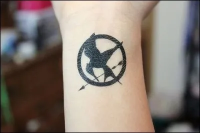 Quelle saga est représentée par ce tatouage ?