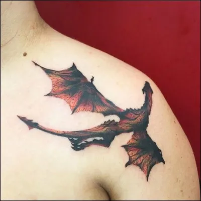 Quelle saga est représentée par ce tatouage ?
