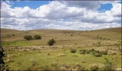 Qu'est-ce qu'une pampa ?