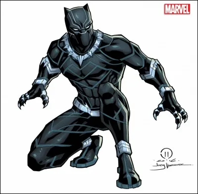 Quel film américain de super-héros, coécrit et réalisé par Ryan Coogler, est sorti en 2018 ?

Indice : 
Ce film met en scène T'Challa, un personnage de Marvel Comics appelé aussi la Panthère noire. C'est le 18e film de l'univers cinématographique Marvel et le 6e de la phase III.