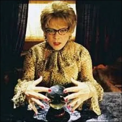 Quel acteur joue le rôle de la voyante Madame Irma dans le film du même nom ?