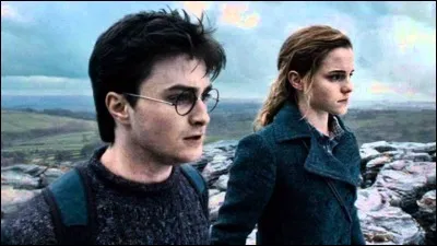 Que découvre Harry sur Hermione dans le bureau de Dolores Ombrage dans ''Harry Potter et les Reliques de la Mort'' (première partie) ?