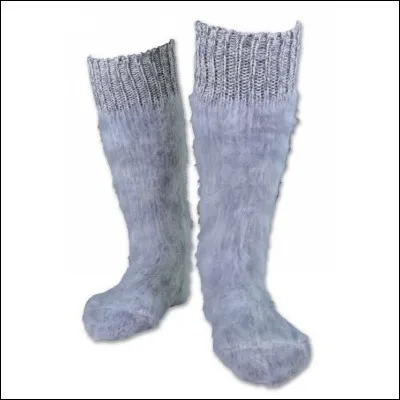 "Les chaussettes de l'archiduchesse sont-elles sèches ou archisèches". Comment appelle-t-on en français ce genre de phrase à caractère ludique ?