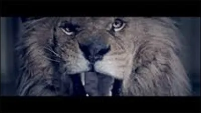 Qui a interpr&eacute;t&eacute; "J'me tire" ?