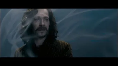 Quel personnage a tué Sirius Black, le parrain de Harry ?