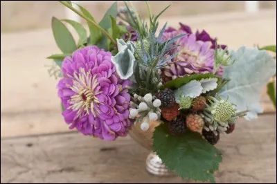 Ce petit bouquet associe de nombreuses fleurs et feuillages, dont ce beau zinnia de couleur mauve. Cette fleur vient du continent américain mais son nom rend hommage à un savant du XVIIIe siècle, allemand, qui a entre autres dirigé le jardin botanique de Göttingen. Quelle était sa spécialité, qui a rejailli sur le nom de cette fleur ?