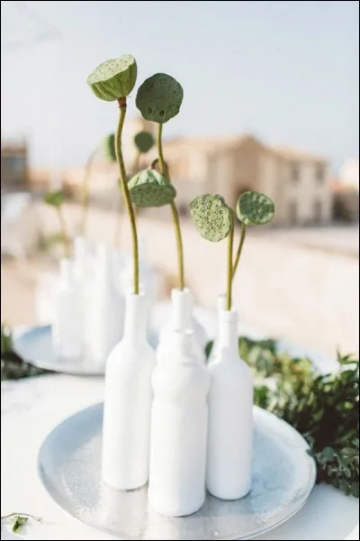 Cette composition très esthétique, très zen, est réalisée à partir des seuls fruits d'une fleur aquatique. De quelle fleur s'agit-il ?