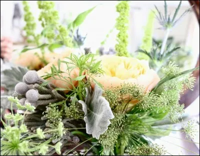 Parmi les fleurs aux teintes pâles de ce bouquet se trouvent des feuilles veloutées presque grises, qui sont celles d'une plante qui porte le nom de... ?