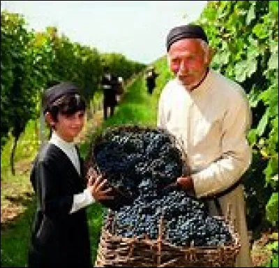 Dans quel pays tous les habitants connaissent-ils le cépage rkatsiteli ?