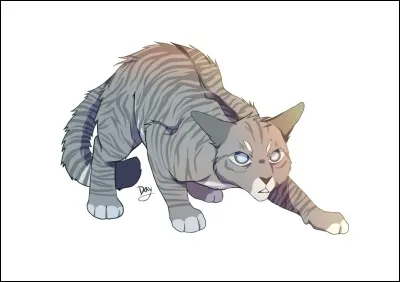 Quel est le comportement d'il de Geai ?