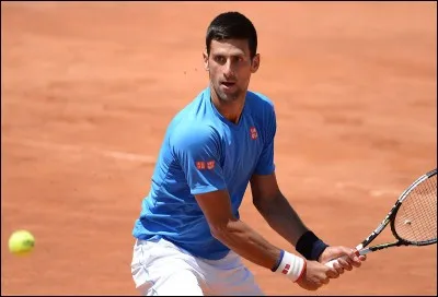 Quel fut le seul tournoi du Grand Chelem remporté par Novak Djokovic en 2014 ?