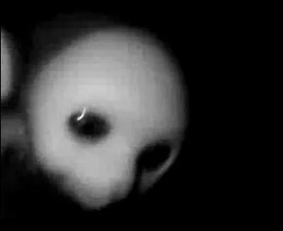 Le Gardien teletubbies est de couleur :