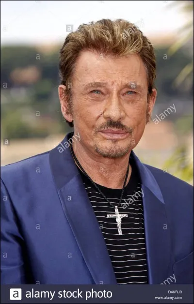 Lequel de ces mots ne pouvons-nous pas trouver dans la chanson "Je te promets" de Johnny Hallyday ?