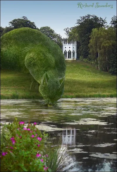 Quel est le nom de cet art qui consiste à tailler les arbres et les arbustes pour obtenir des formes variées ?