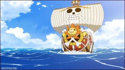 Comment s'appelle le nouveau bateau de "One Piece" ?
