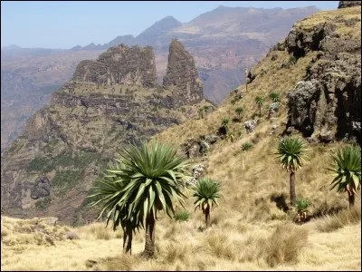 L'Ethiopie est un pays situé :