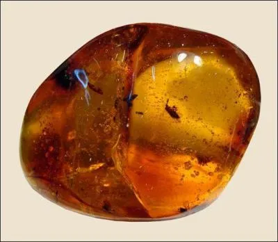 Quelle est sa pierre prcieuse ?