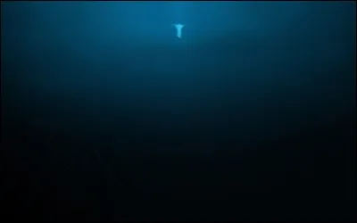 Jacques Picard __ Don Waltz sont descendus tout au fond de l'océan à une profondeur de 11 kilomètres __ cela se passa en 1960.