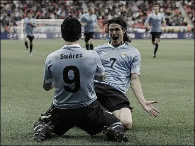 Quel joueur préfères-tu ?